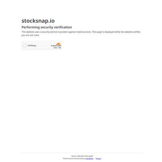 StockSnap